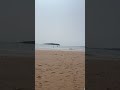 The beach was BEAUTIFUL today!!! Pls subscribe I’m trying to get to 1k u sub I’ll sub back!!