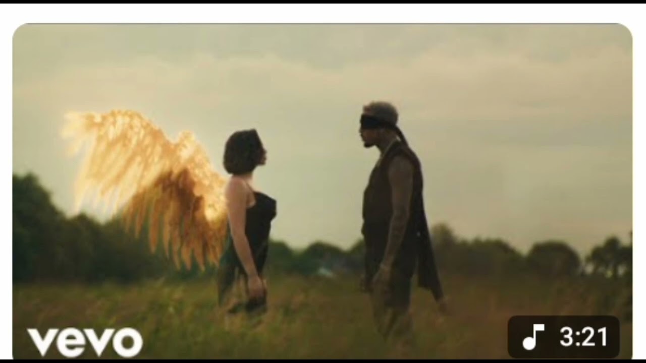 Chris Brown - Holy Blindfold ( official video )