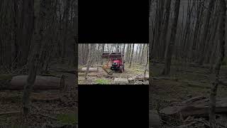 Tractor Log Tongs, Timber Grabber, Log Lifters