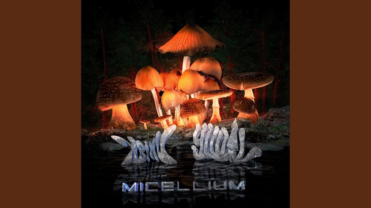 Watch MICELLIUM on YouTube Watch MICELLIUM on YouTube