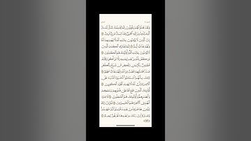 الورد اليومي: 4 صفحات (277-278-279-280) لتجنب هجر القرآن | تذكير يومي مستمر #قرآن #تلاوة