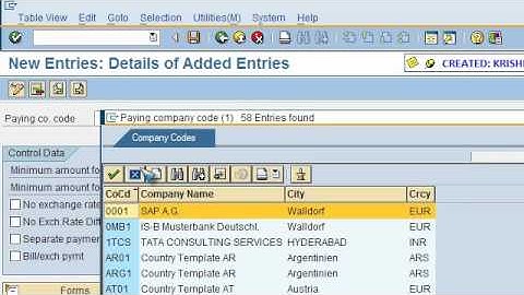 SAP FICO VIDEO TRAINING TUTORIALS 0039 AUTOMATIC PAYMENT PROGRAM APP ECC6 - BAYISETTI