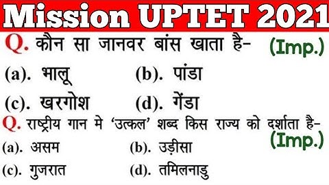 UPTET 2021 || Junior Super TET EVS Most Important Questions || Super TET