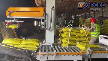 Efficient Soft Pallet Column Palletizer for Animal Feed  Palletizer Factory IO