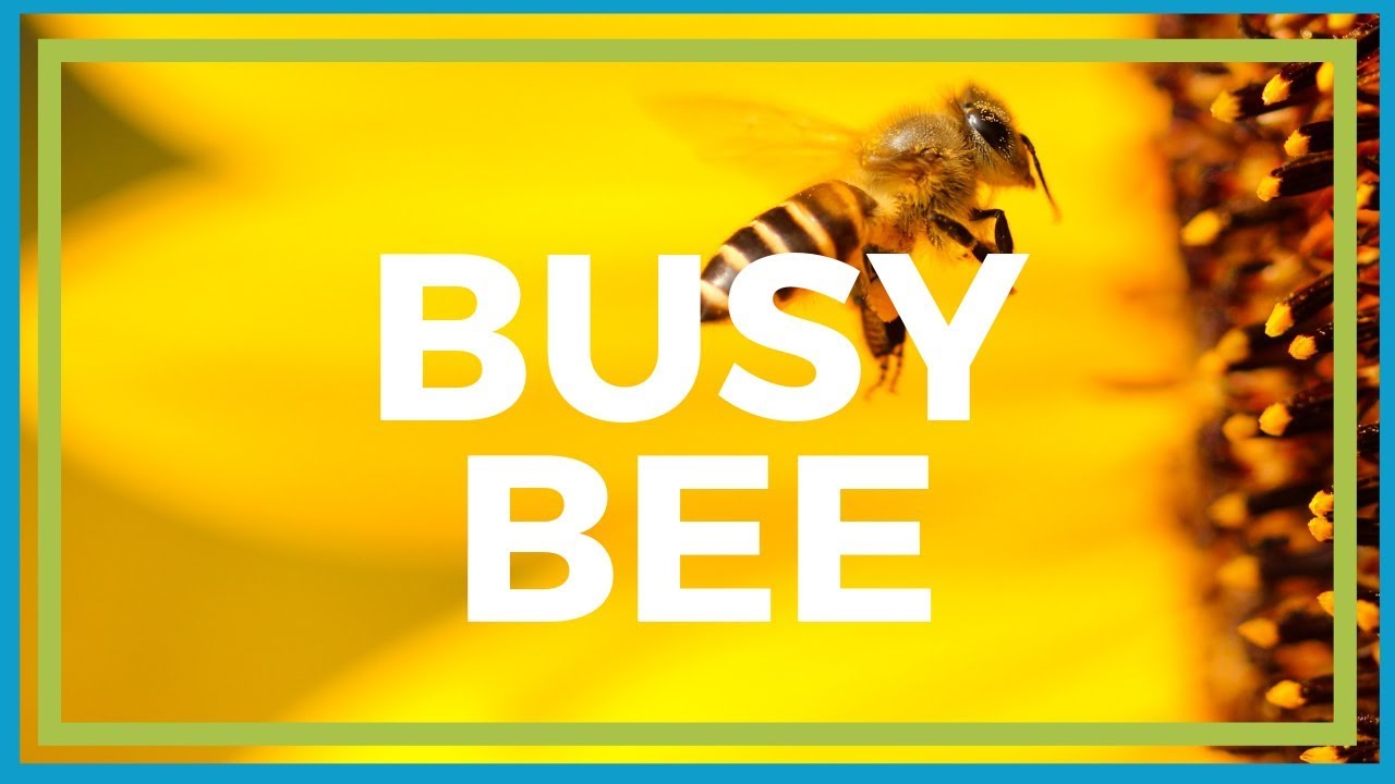 Busy Bee Wrist Stretches | In Motion O.C. Physical Therapy - YouTube