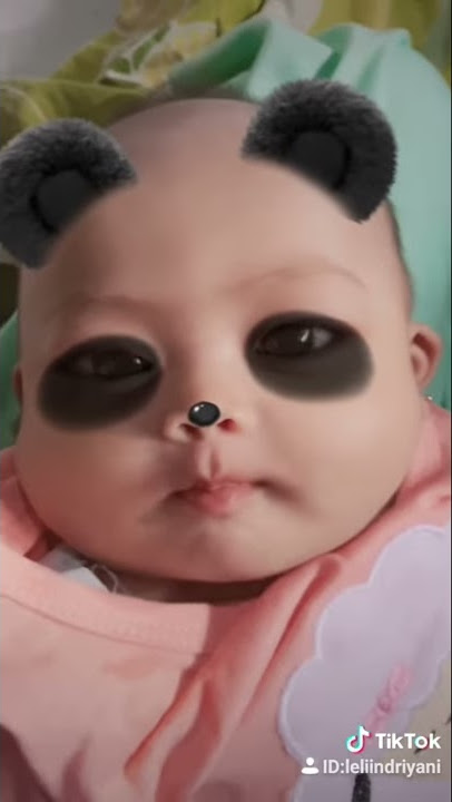 Tik tok bayi lucu