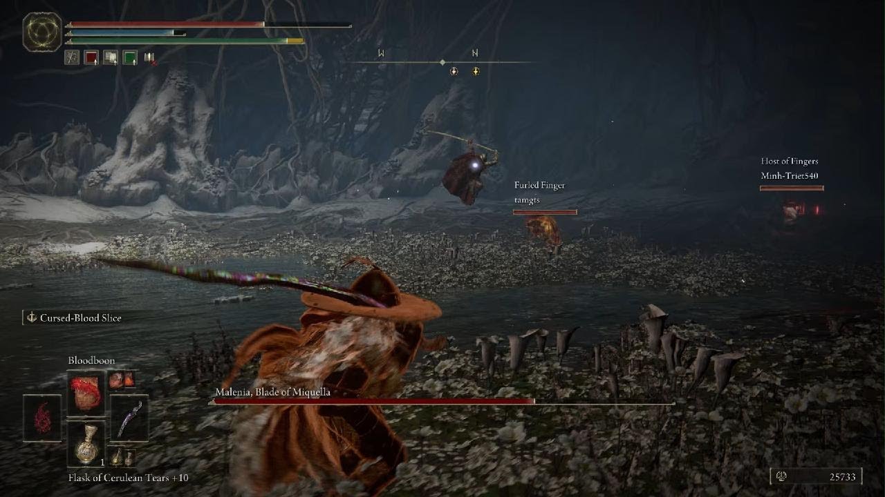 How to dodge Malenia waterfowl dance YouTube