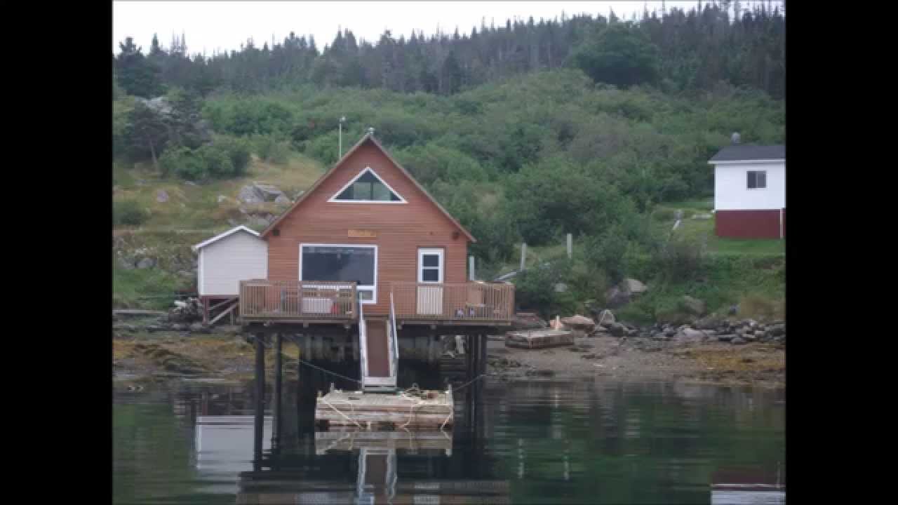 WOODY ISLAND NL YouTube