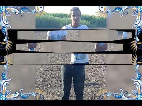 حالات واتس هاتلي فويكا وشيفاز 