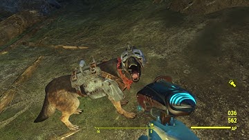 How To Get Dogmeat