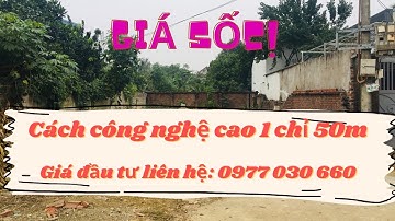 Đất nền Láng Hòa Lạc| 136m2 Tân Xã Thạch Thất| trantrinhbđs