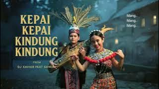 KEPAI KEPAI KINDUNG KINDUNG - SHIRLEY feat Dj Xavier (OFFICIAL AUDIO LYRICS)