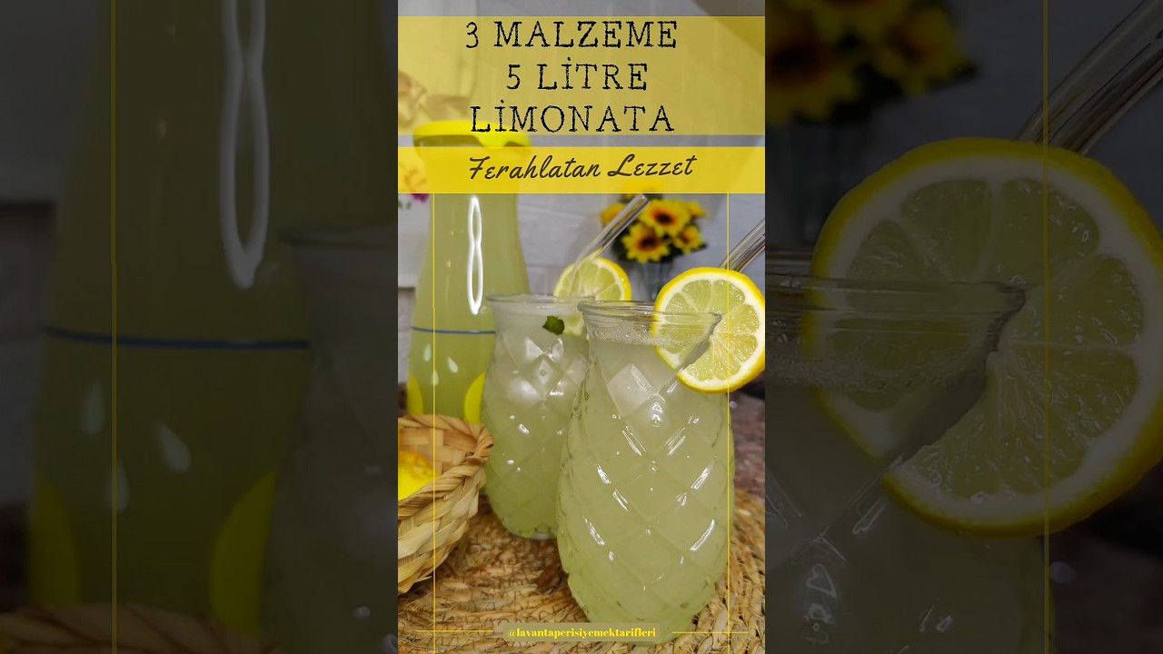 3 Malzeme 5 lt Limonata ???? ???? Pratik Limonata Tarifi ???? #shorts #limón #limonata #limone #coollime #sub 3 Malzeme 5 lt Limonata ???? ???? Pratik Limonata Tarifi ???? #shorts #limón #limonata #limone #coollime #sub
