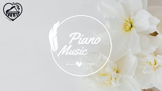 [Piano] Study, Sleep, Background, Cafe, Relaxing Music (No ads) | 피아노연주-공부, 휴식, 수면, 묵상음악 (광고없음)