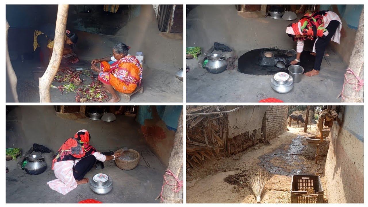 আজ পাশের বাড়ির এক ঠাকুমা💫আমার সঙ্গে গল্প করতে এসেছিল✅ #dailyvlog #minivlog #bengalivlog #viralvlog 