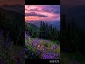 nature images are very good