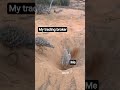your trading brokers real intentions