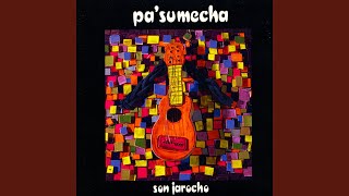 Video thumbnail of "Pa' Sumecha - Bruja"