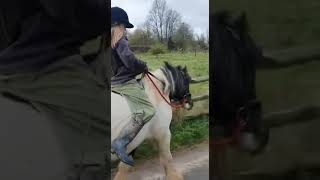 Some bareback hacking from yesterday 💛💛