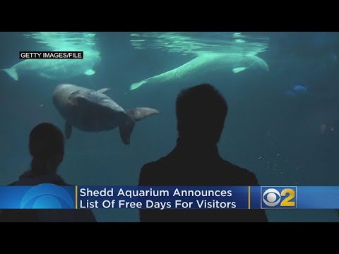 shedd-aquarium-announces-free-days