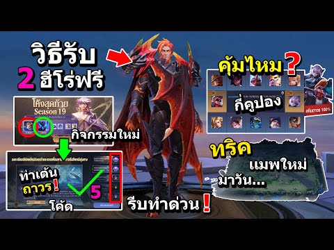 วีดีโอ: วิธีหาเทรนเนอร์ที่เหมาะกับสุนัขของคุณ