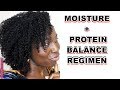 Moisture Protein Balance Regimen for Natural Hair | DiscoveringNatural