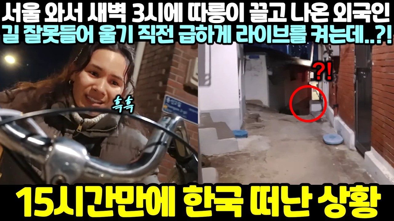 서울와서 새벽 3시에 따릉이 끌고 나온 외국인 길 잘못 들어 울기 직전 급하게 라이브를 켜는데..?! 15시간만에 한국 떠난 상황