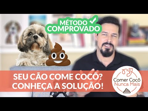 Vídeo: Socorro! Meu cachorro come seu cocô! (Como impedir isso)