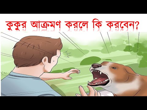 ভিডিও: কুকুর হাঁটার টিপস: আপনার কুকুরটি হাঁটার সময় কি করবেন না