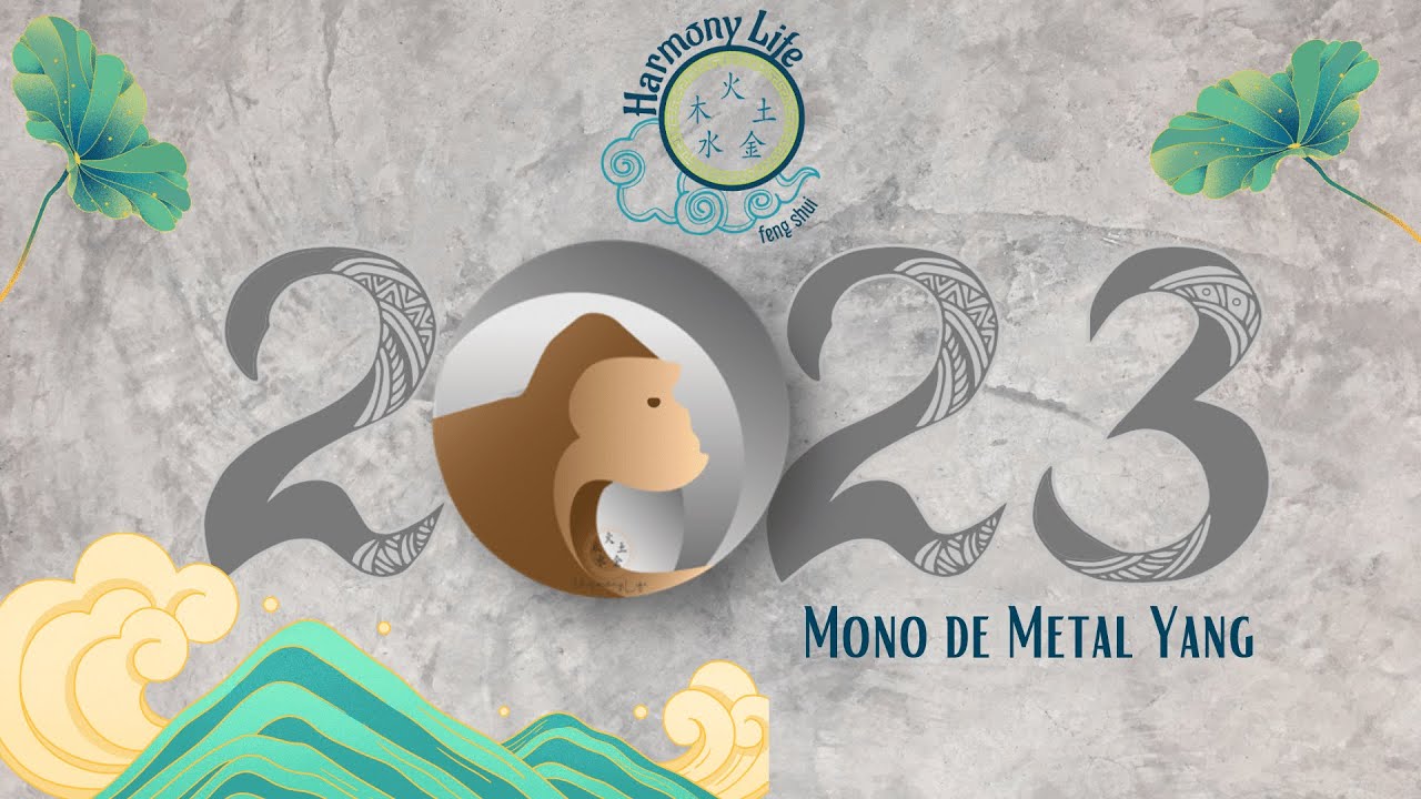 Agosto 2023 Mono de Metal Yang YouTube