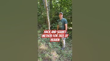 Tree of Heaven (Ailanthus) killed with Hack and Squirt Method #outdoors #deerhunting #shorts