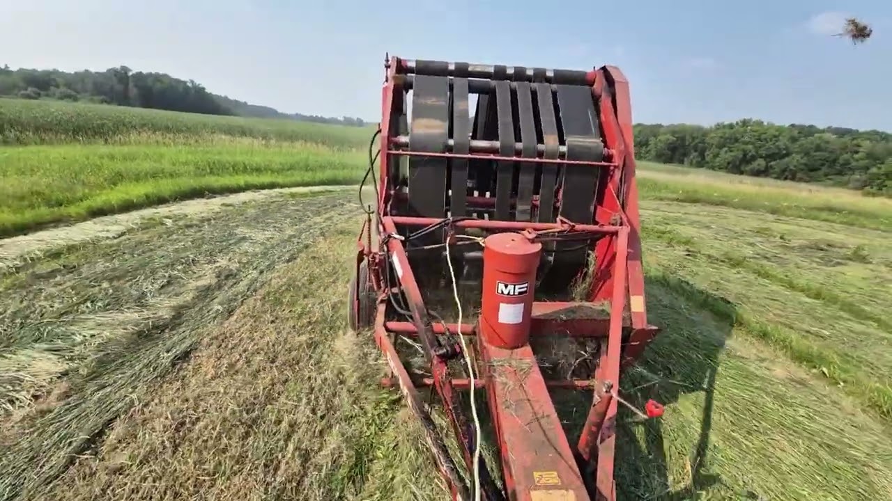 Trying out the 300$ bailer 