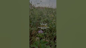 القرآن الکريم 🎧🥀.     #qurankareem #القرآن_الكريم #تلاوة_خاشعة