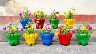 Make Beautiful Flower Baskets From Discarded Plastic Bottles | How to Grow portulaca