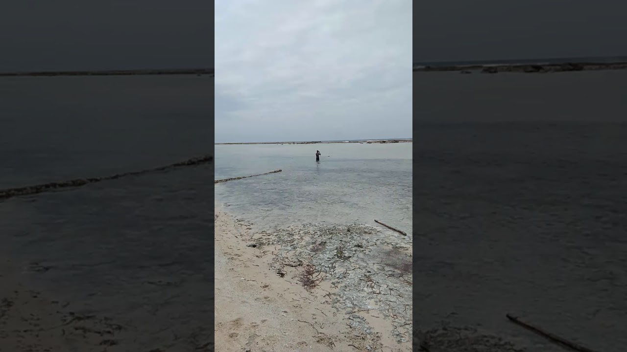 Pantai Wasarawa Pulau Lorang Nias Selatan