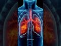 Health Experts Monitor Fast-Spreading Flu Variant  A newly identified K-variant influenza strain is