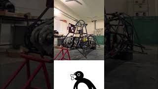 Noot Noot | Shorts | Velocita Racing