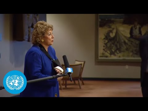 Ireland on Libya - Security Council Media Stakeout (29 April 2022)