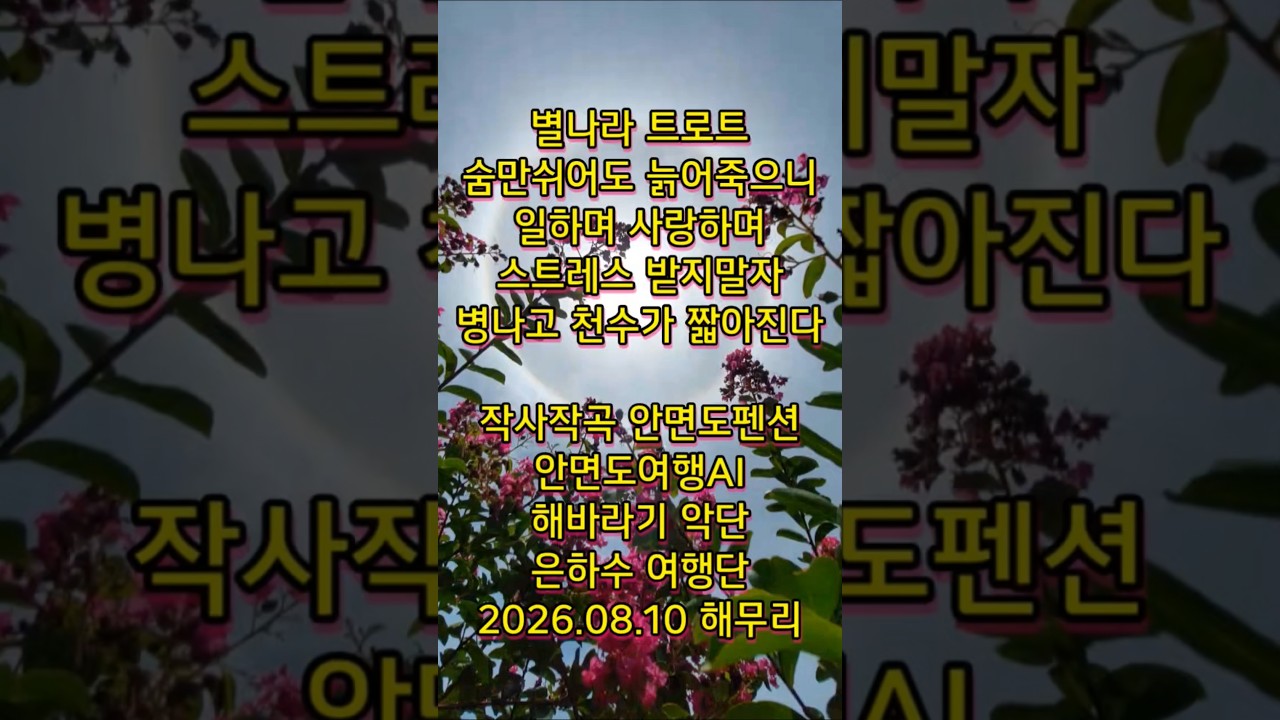 최신노래 최신트로트 AI노래 작사작곡 안면도펜션 안면도여행 AI 2026.08.10 해무리와함께 #ai노래 #트로트 #ai트로트  #해무리