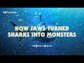 Making a Monster | Episode 1 | Swimming with Shadows Podcast Series | Full Episode