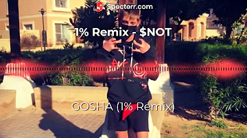 GOSHA - $NOT - 1% Remix