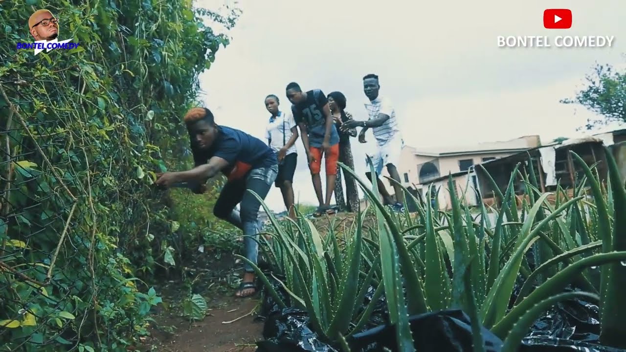 Always mind your business with OAFP 