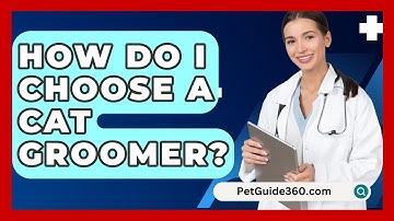 How Do I Choose A Cat Groomer? - PetGuide360.com