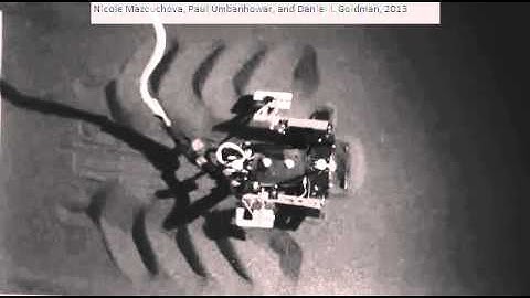 Flipperbot bad rigid flipper performance