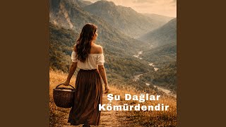 Şu Dağlar Kömürdendir