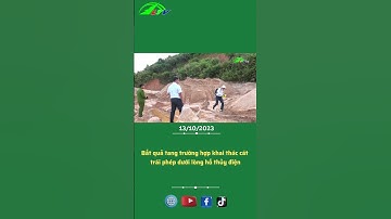 Bắt quả tang trường hợp khai thác cát trái phép dưới lòng hồ thủy điện #shorts #LTV #anninhlamdong