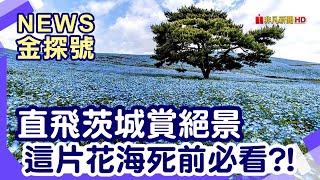 直飛日本小鎮|茨城 國營常陸海濱公園 偕樂園、袋田瀑布 大洗磯前神社 松のぶ鰻魚飯 明太子霜淇淋 茨城 那珂湊市場 市場壽司 海の駅店