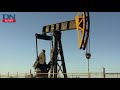 Oil hovers above six-week low as China readies crude reserve release
