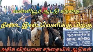 நீண்ட இடைவெளிக்கு பிறகு வள்ளியூர் சந்தை 
