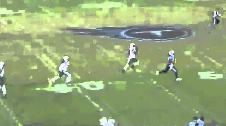 Chris Johnson's Amazing 94 yard Touchdown